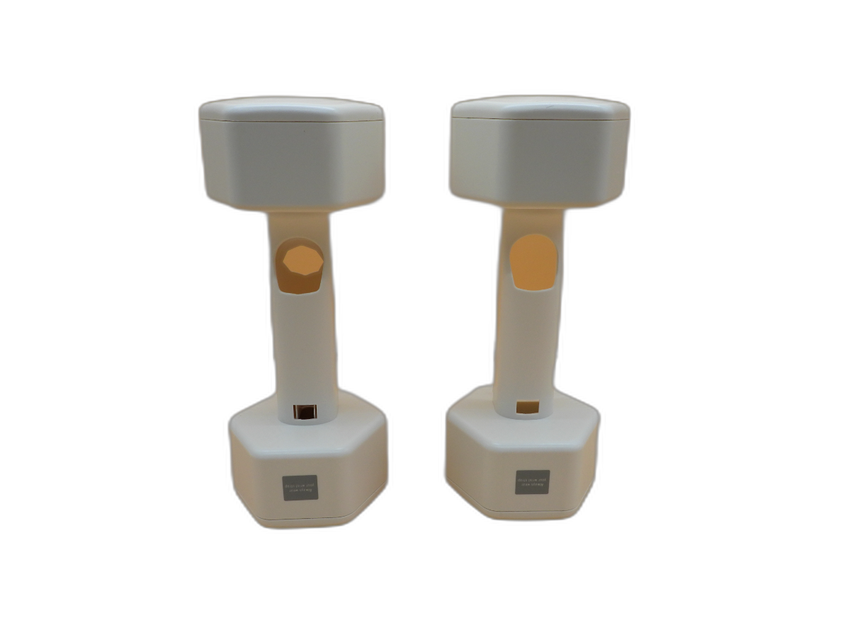 Nintendo Wii fit Everlast 1kg Dumbbells. Fitness. Exercise