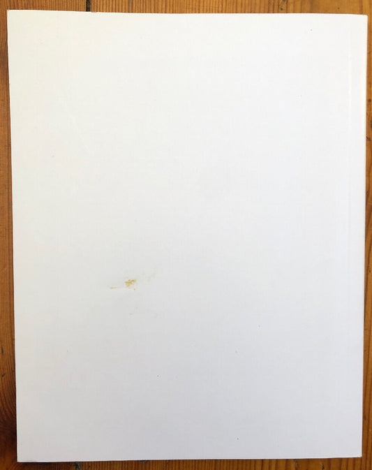 The Sims Original Game Instruction Booklet