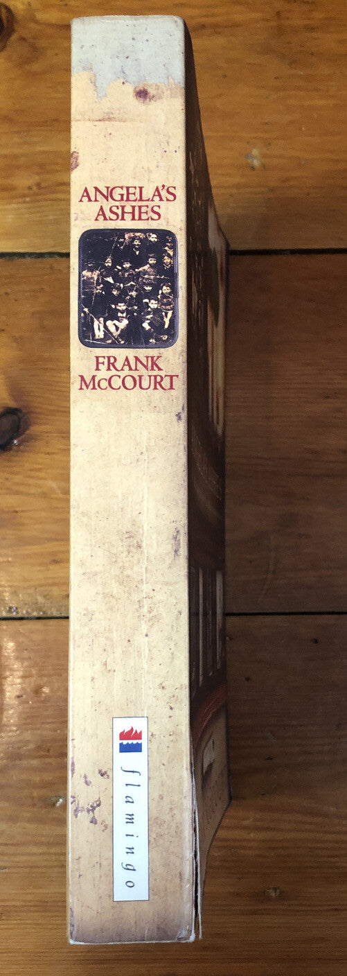 Angela's Ashes A Memoir Of A Childhood Frank McCourt