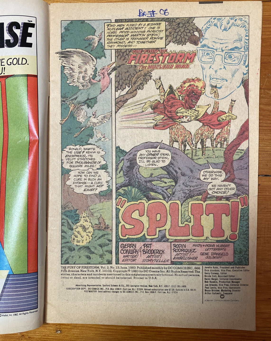 THE FURY OF FIRESTORM #13 (1983) 1ST PRINTING BAGGED & BOARDED DC COMICS