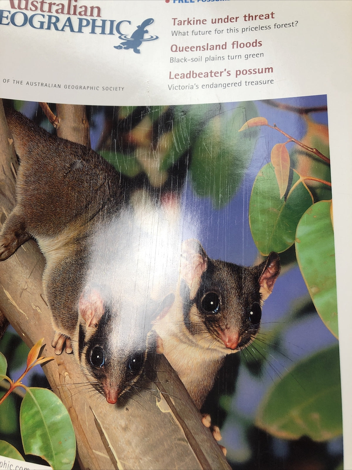 Australian Geographic Magazine Jul - Sept 2004 No. 75 In Good Condition