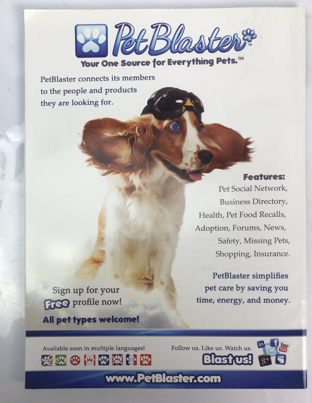 Modern Dog Magazine Fall 2014 In Good Vintage Condition