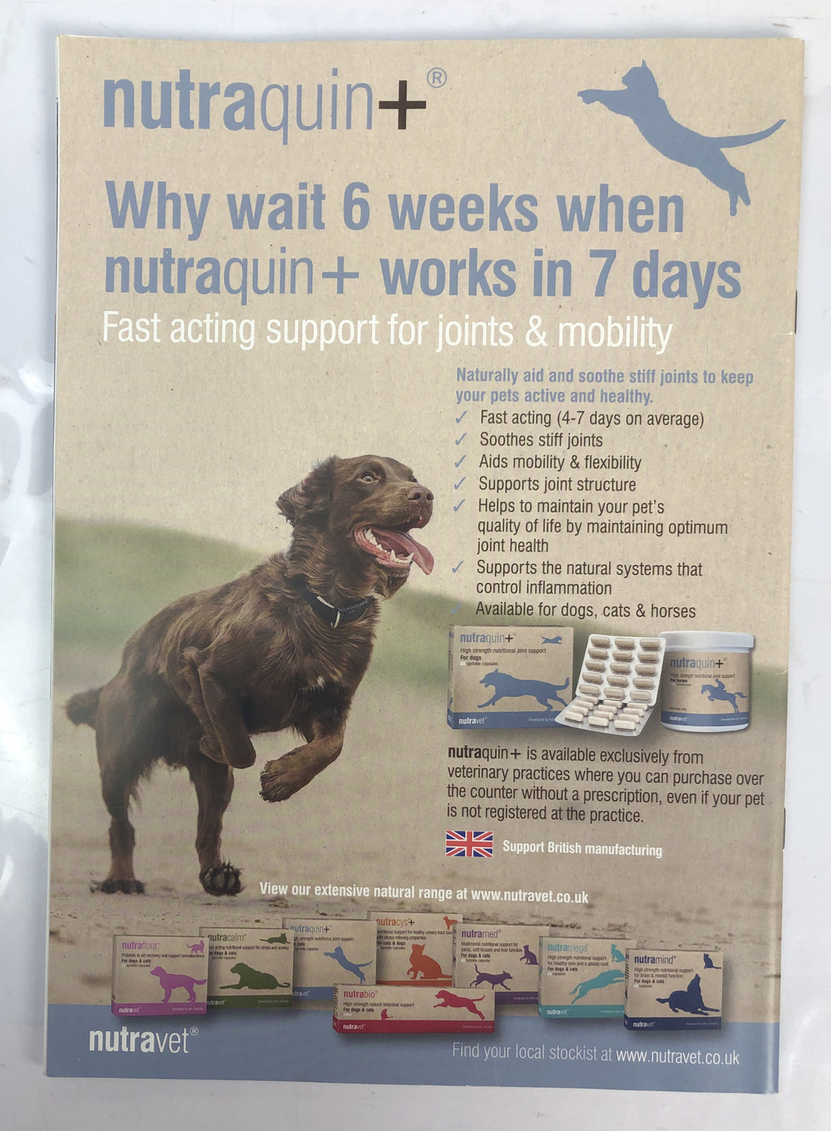 Dog Edition Magazine Issue 14 In Good Vintage Condition