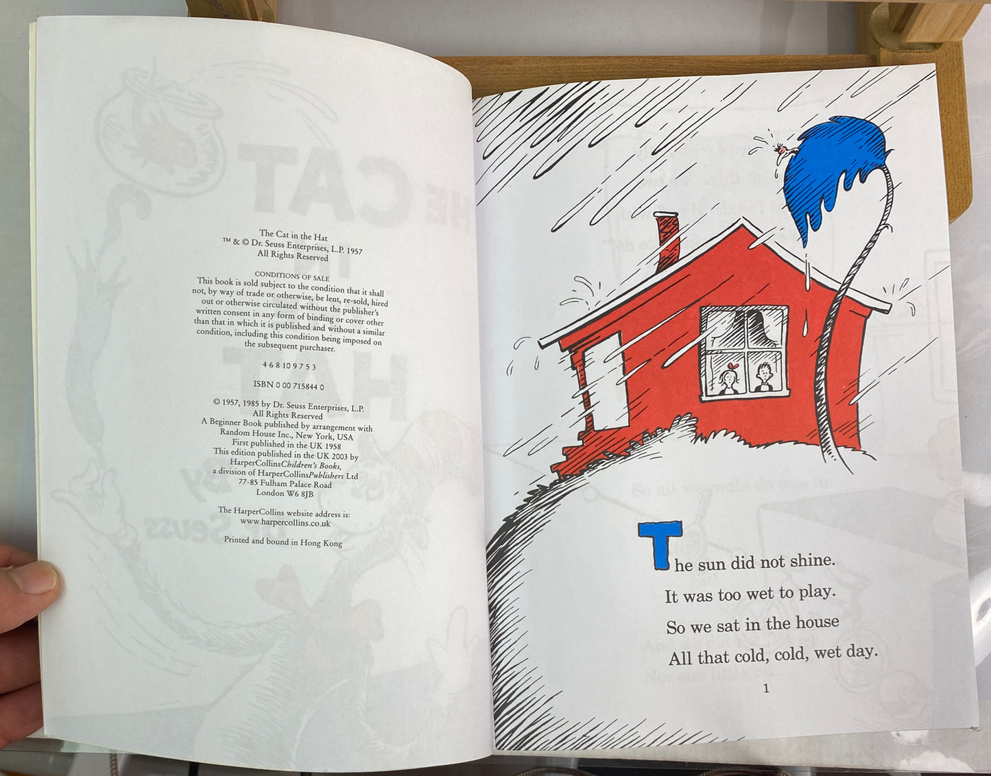The Cat In The Hat Author Dr. Seuss 100th Edition In Good Condition