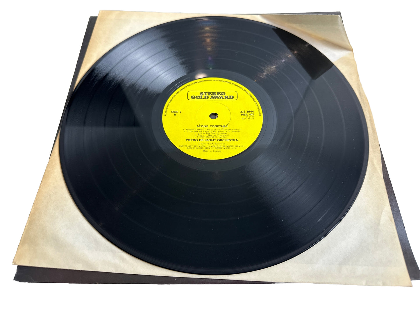 Songs And Moods For People Alone Together - 12" Vinyl Record 3894