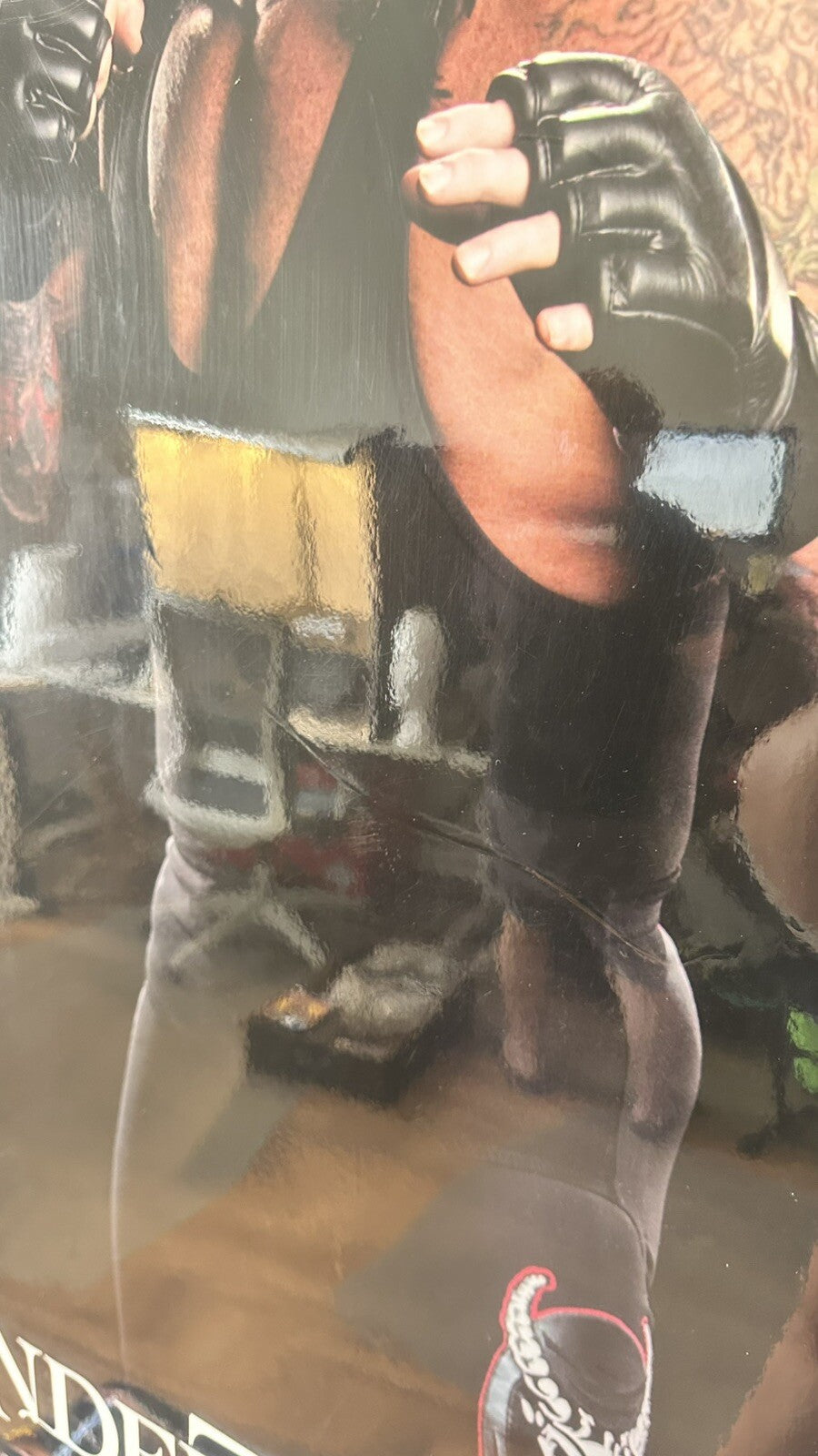 The Undertaker Original 2006 WWE Wrestling Wall POSTER 61cm x 91cm