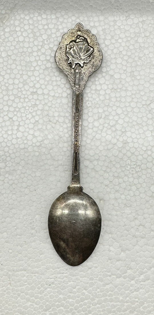 Souvenir Spoon Hawker South Australia , silver plated OK Condition