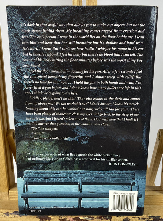 Beautiful Lies Lisa Unger Novel In OK Condition