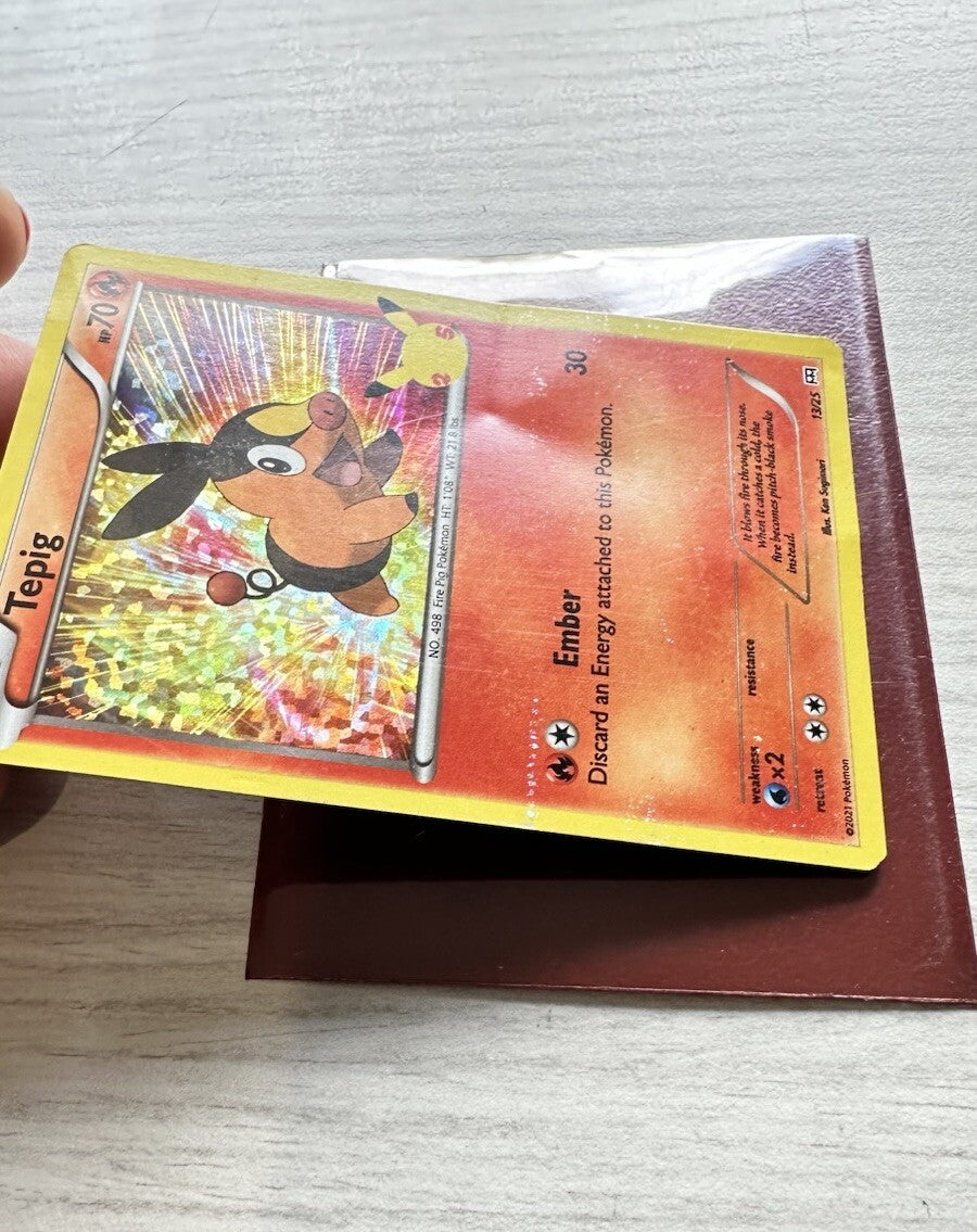 Tepig Pokemon Holo Fire Card Year 2021 (5243)