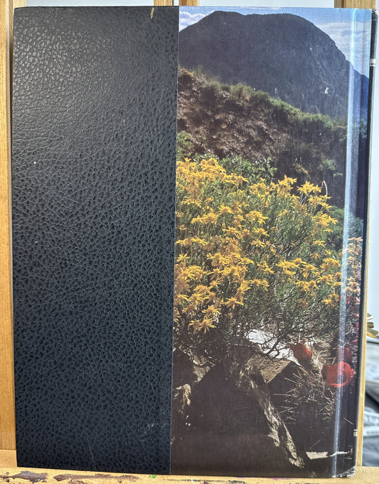 The Plant World The World Book Encyclopedia Of Science In Good Condition