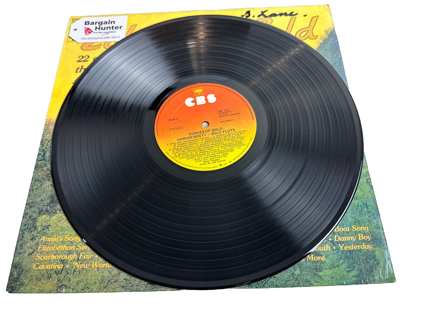 Adrian Brett – Echoes Of Gold - 12" Vinyl Record 4497