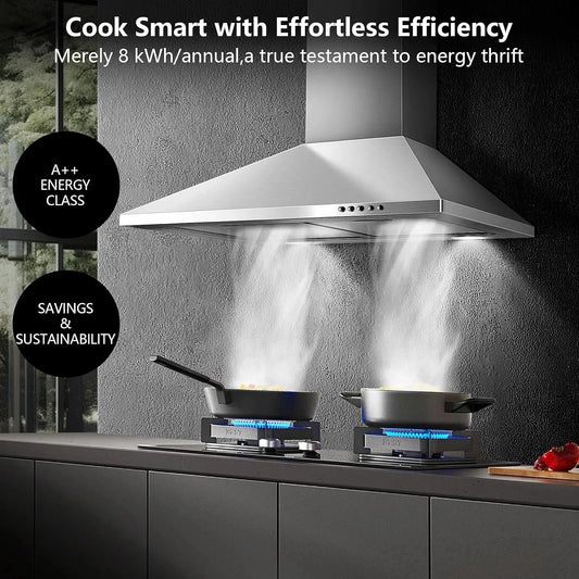 SNDOAS 60 cm Stainless Steel Wall Mounted Duted/Ductless A++ with Filters Led Light, 350m³/h 3 Speed range Hood