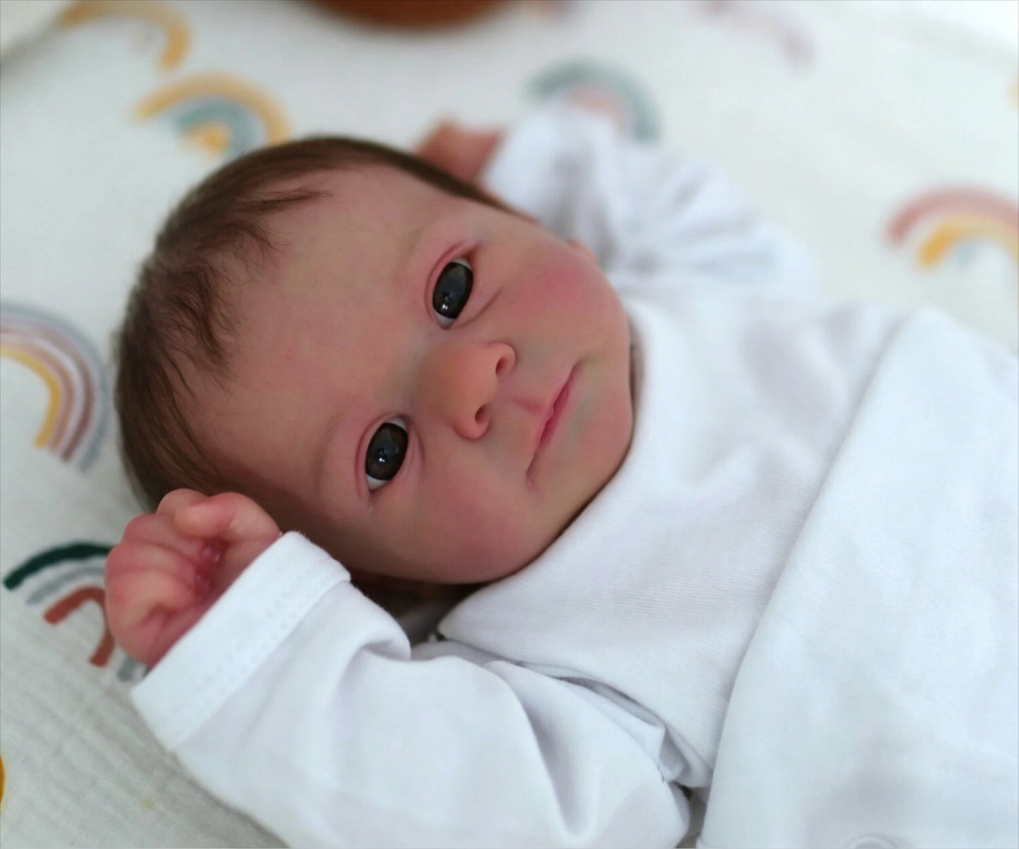 48CM Reborn Felicia Realistic Baby 3D Skin Multiple Layers Painting with Hand Rooted Hair Touch Doll