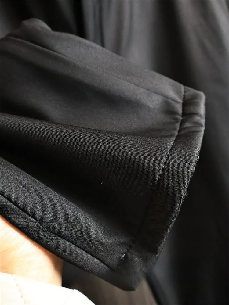 High-End Duck down Pants Men's Thickened Water-Resistant Straight Leg down Pants for Autumn Winter Fashion Urban Style Long P...