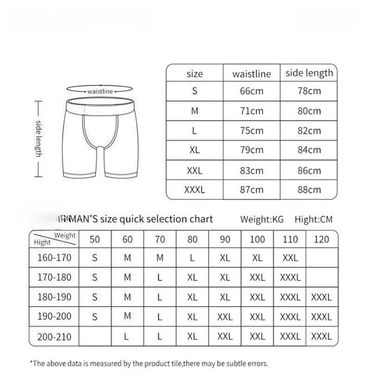 ETHIKA Men Underwear Breathable Mesh Crotch Man Swimming Underpants 5Pcs Plus Size L-3XL Mens Panties Set Sexy Men's Boxershorts