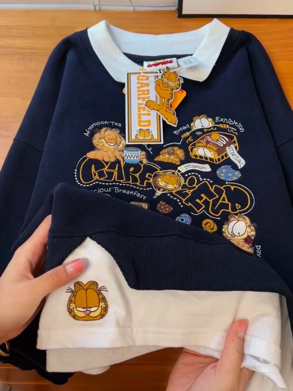 Fluffy Lined Embroidered Print Sweatshirt Loose Fit Thickened Casual Style Korean Version Long Sleeve Hoodie for Women