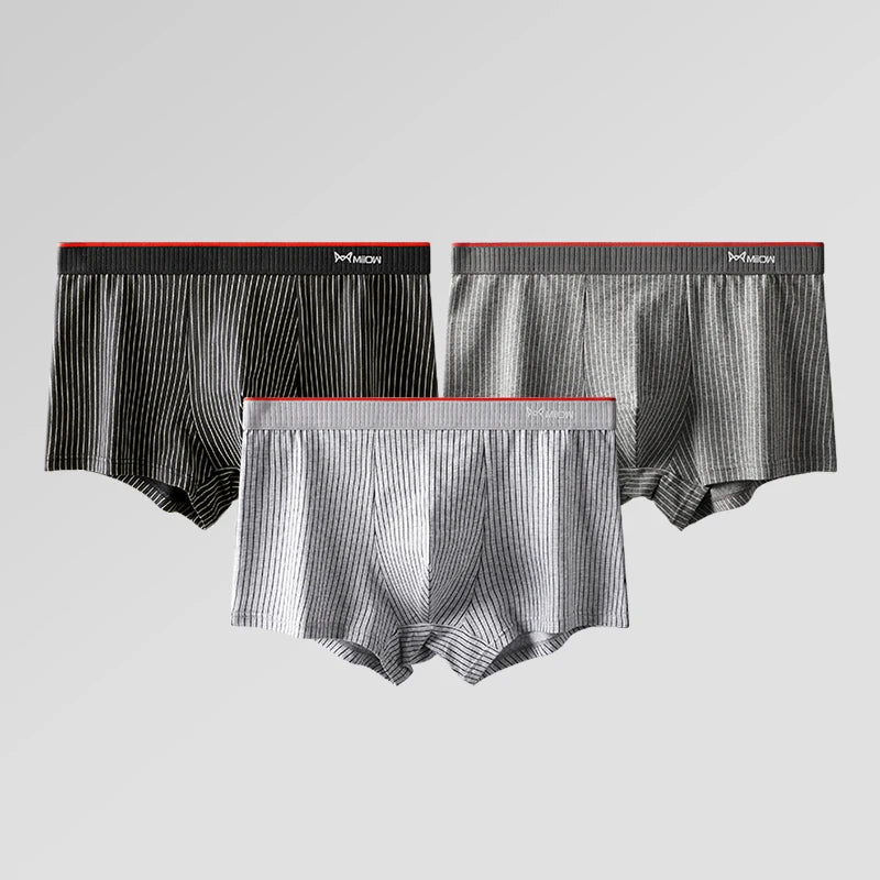 MiiOW 3/4Pcs PLUS 5XL Men Underwear Striped Panties Boxershorts Organic Cotton Boxer Shorts Antibacterial Seamless Underpants