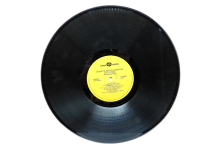 20 Duet & Solo Favourites Vinyl Record By Bill Newman & Rosalind Keene Dyna Hous