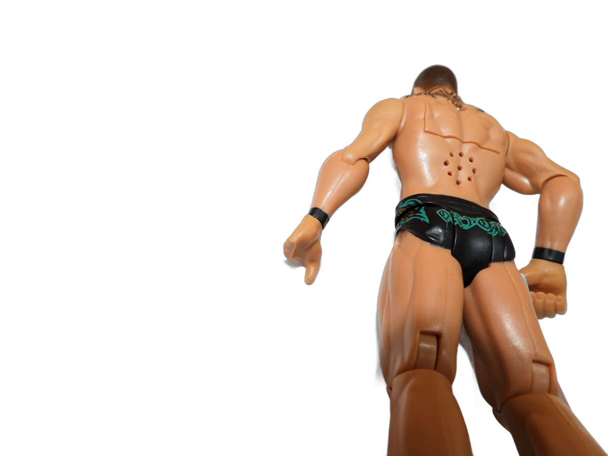 Wwe Randy Orton Mighty Minis Wrestling Action Talking Figure DAMGED HAND