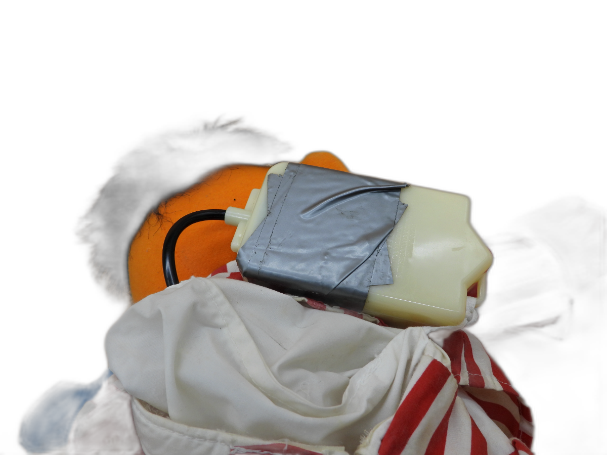 Sesame Street Sing & Snore Ernie Talking Plush Doll