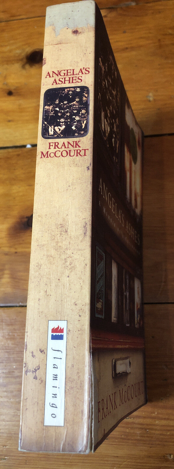 Angela's Ashes A Memoir Of A Childhood Frank McCourt