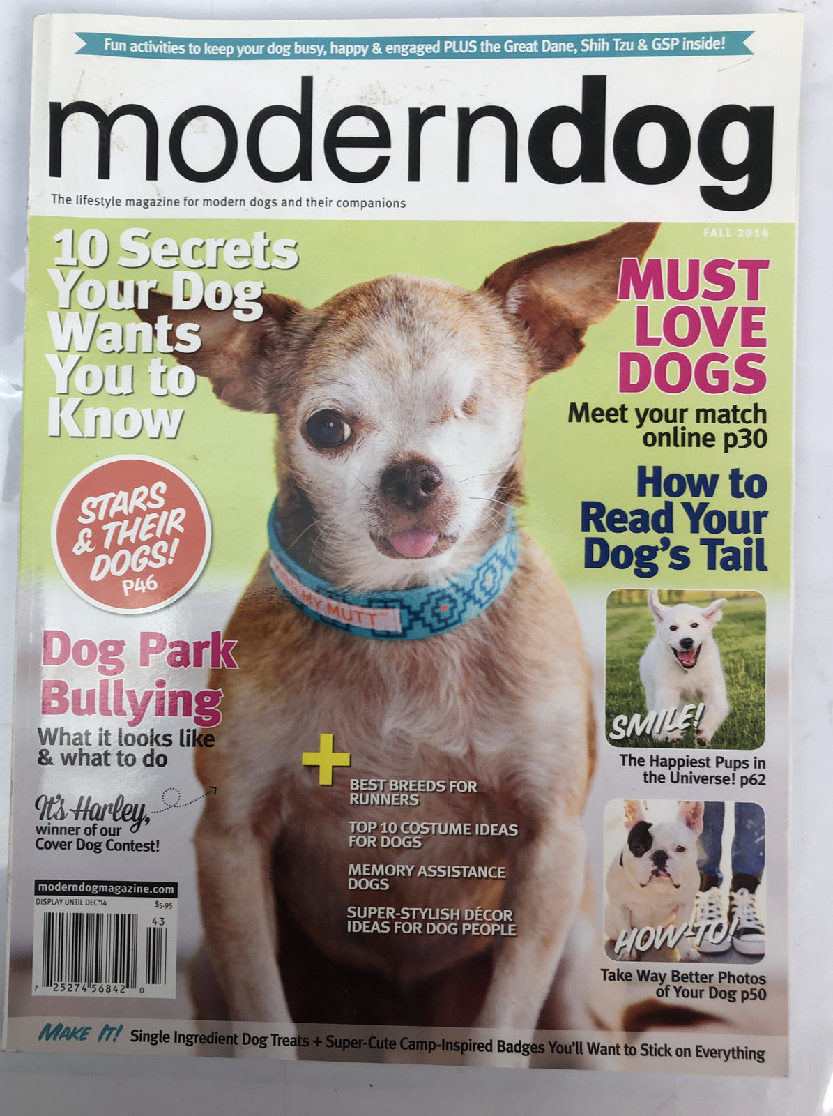Modern Dog Magazine Fall 2014 In Good Vintage Condition