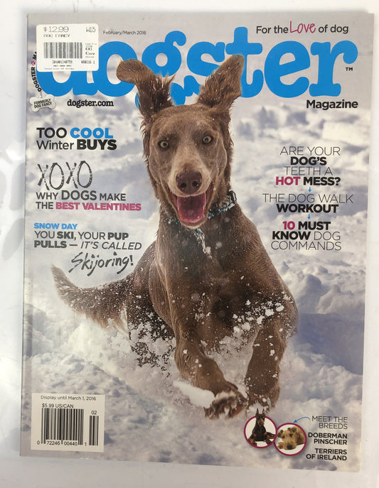 Dogster Magazine February / March 2016 In Good Vintage Condition