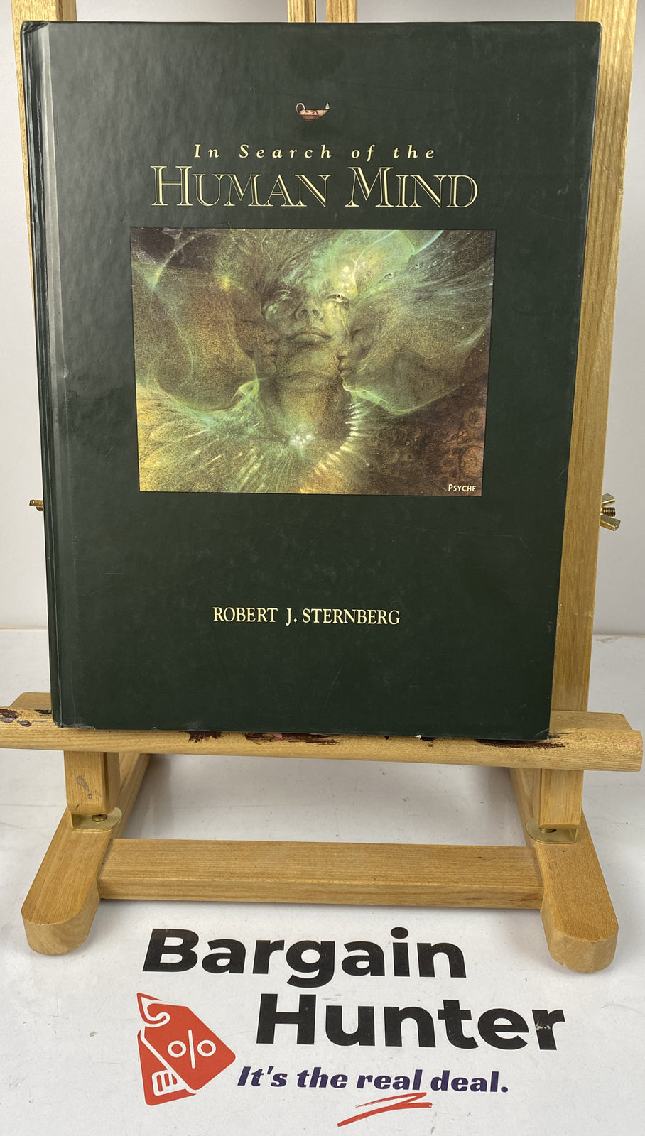 In Search Of The Human Mind Robert J. Sternberg Text Book In VGC