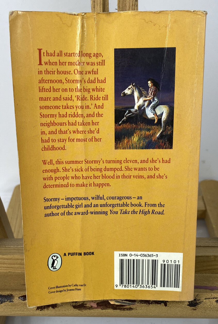 Stormy Mary K. Pershall Novel In OK Condition