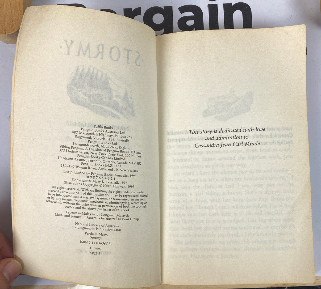 Stormy Mary K. Pershall Novel In OK Condition