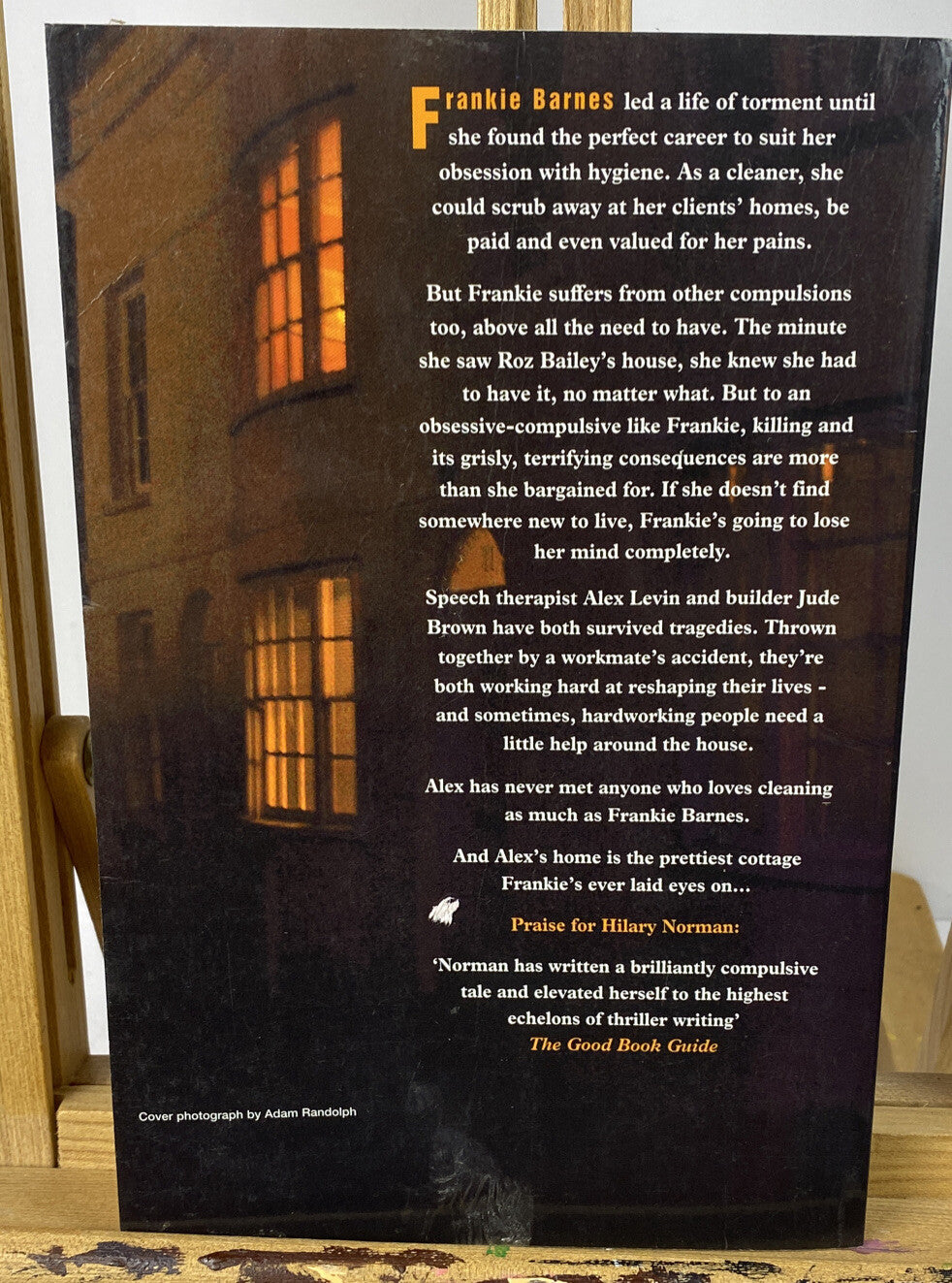 Compulsion Hilary Norman Novel In OK Condition