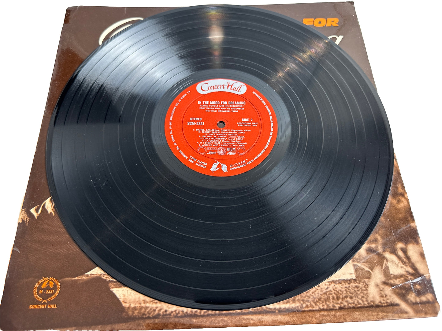 In The Mood For Dreaming - 12" Vinyl Record 3915