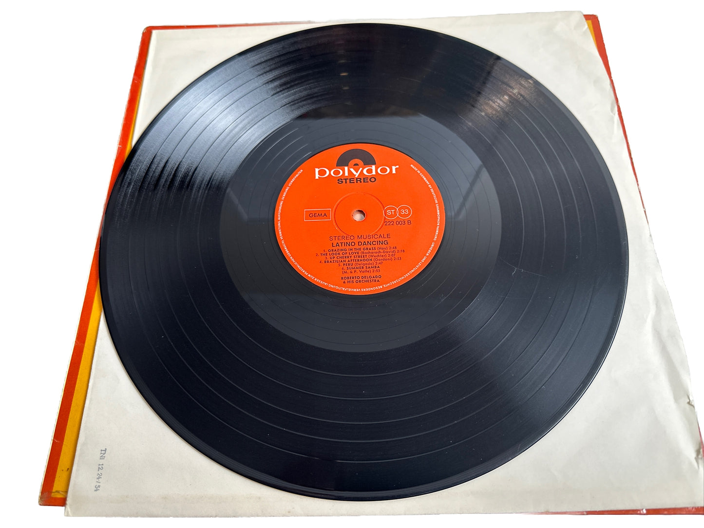 Latino Dancing - Roberto Delgado  - 12" Vinyl Record 3874