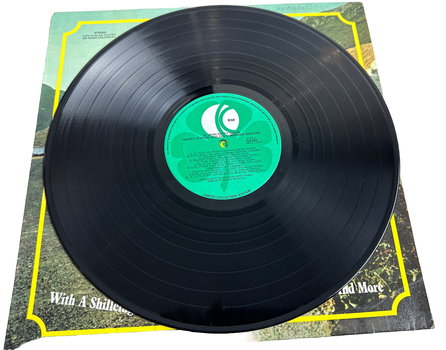 20 Irish Party Songs - Barry O’Dowd & the Shamrock Singers - 12" Record 4480