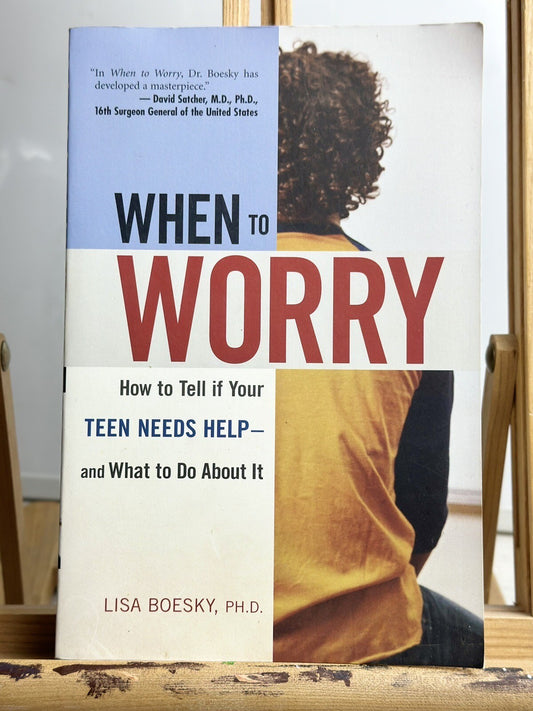 When To Worry By Lisa Bosky - Novel In Good Condition