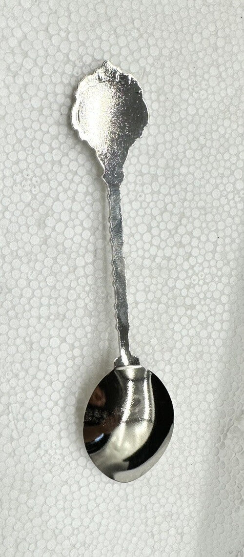Souvenir Spoon Darwin Northern Territory Australia , silver plated In Good Cond