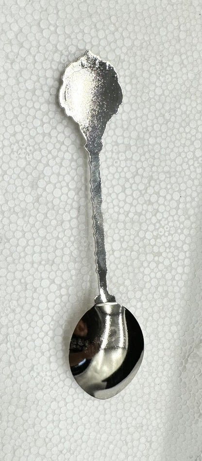 Souvenir Spoon Darwin Northern Territory Australia , silver plated In Good Cond