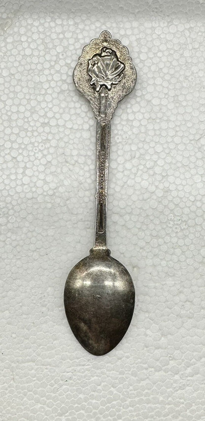 Souvenir Spoon Hawker South Australia , silver plated OK Condition