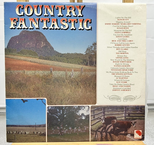 Country Fantastic Record In Good Condition 6957