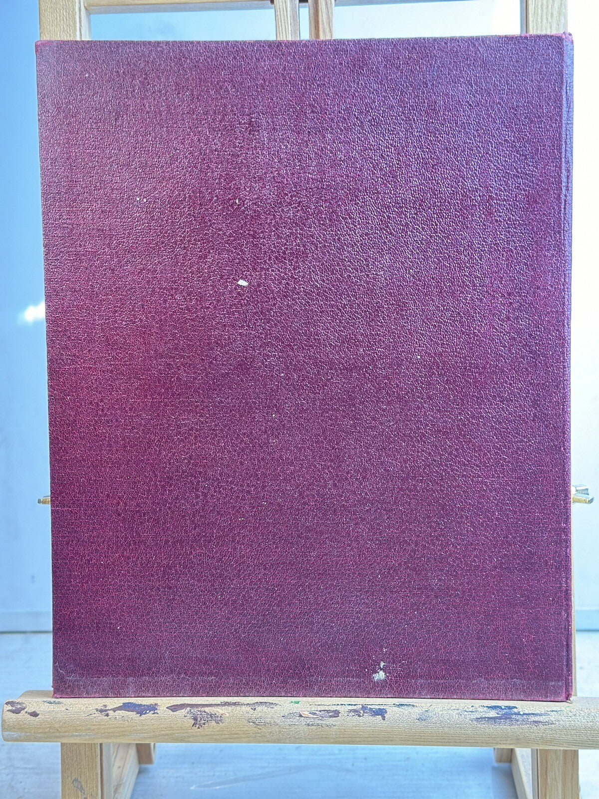 Queen Elizabeth's Coronation Book - Novel In OK Condition