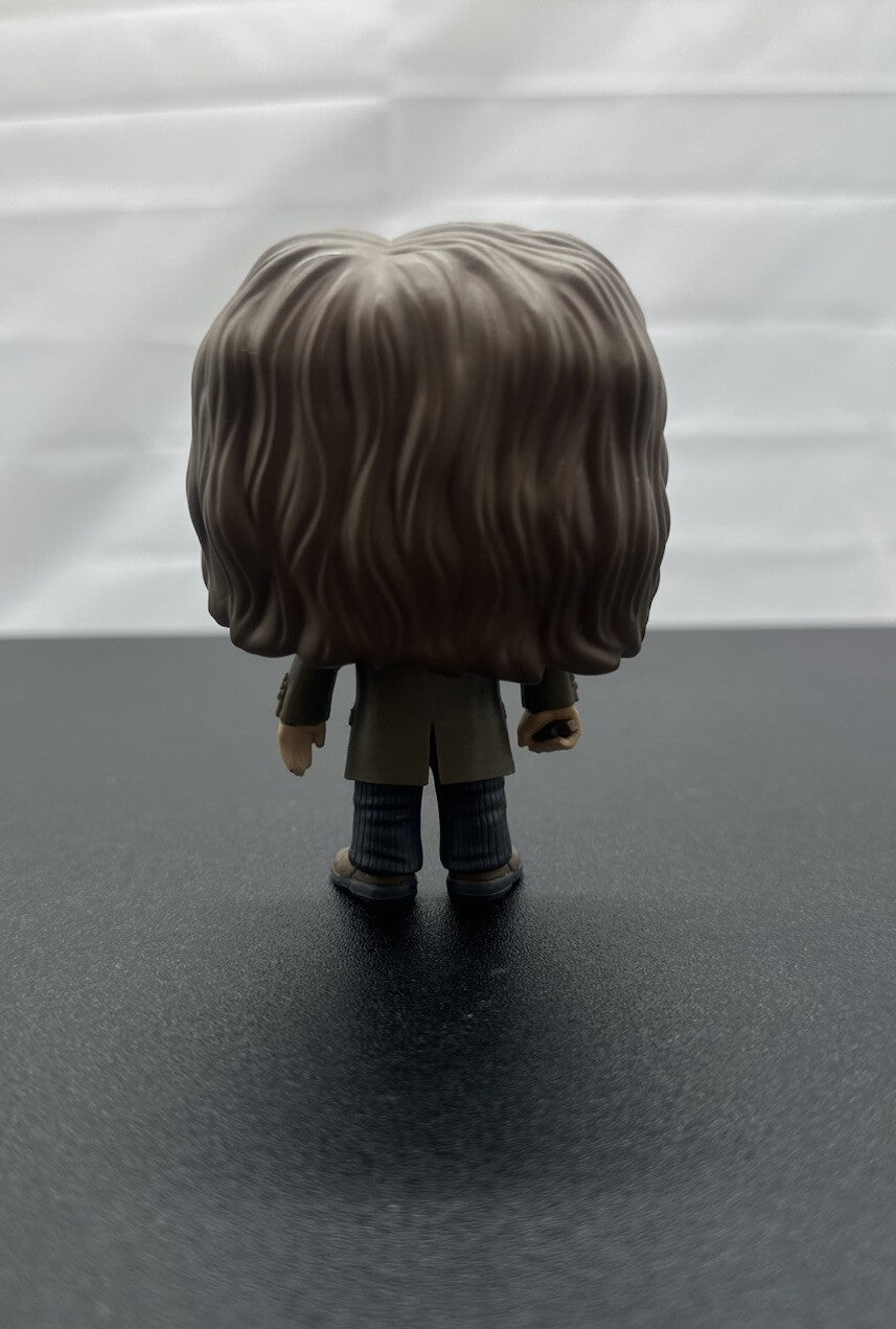Funko POP Movies: Harry Potter Action Figure - Sirius Black (brocken Wand)
