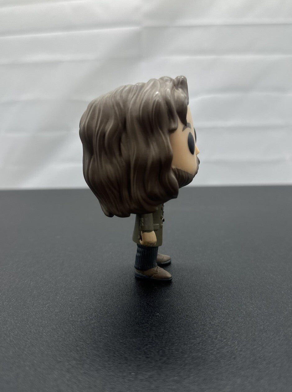 Funko POP Movies: Harry Potter Action Figure - Sirius Black (brocken Wand)