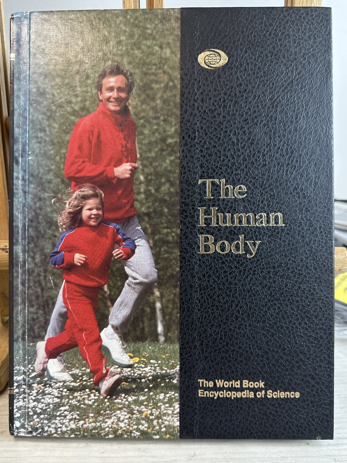The Human Body The World Book Encyclopedia Of Science In Good Condition