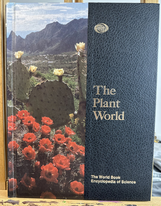 The Plant World The World Book Encyclopedia Of Science In Good Condition