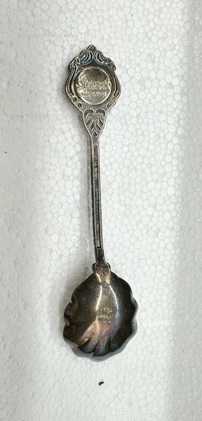 Souvenir Spoon Mc kenzie Falls The Grampians Victoria Australia , silver plated