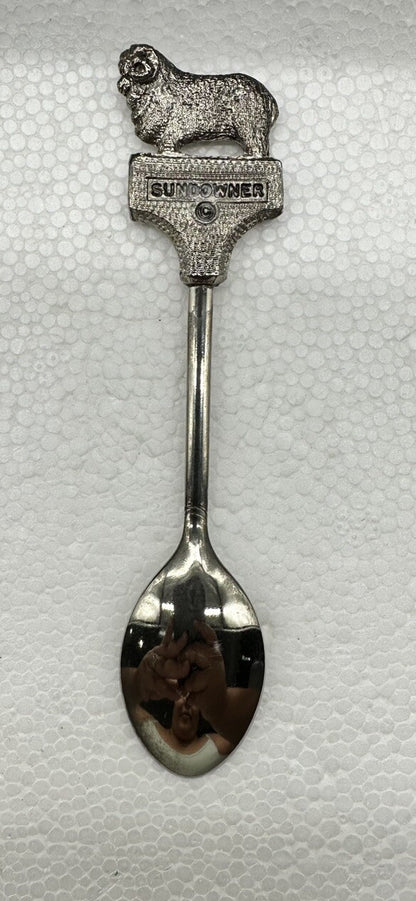 Souvenir Spoon Albury New South Wales Australia , silver plated In Good Cond
