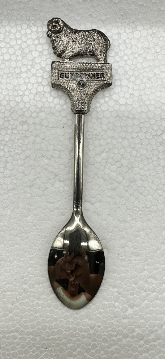 Souvenir Spoon Albury New South Wales Australia , silver plated In Good Cond