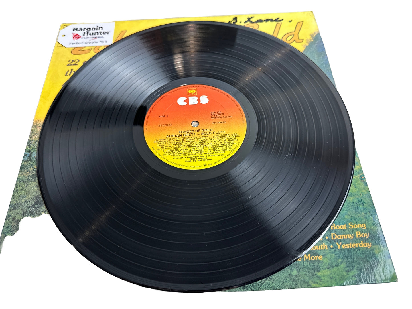 Adrian Brett – Echoes Of Gold - 12" Vinyl Record 4497