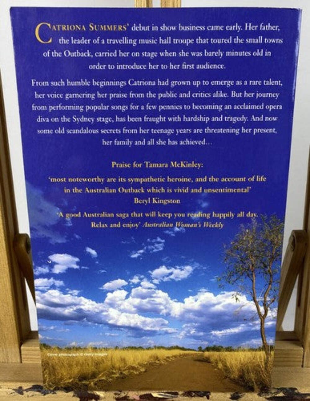 Dreamscapes Tamara Mc Kinley Novel In Good Condition