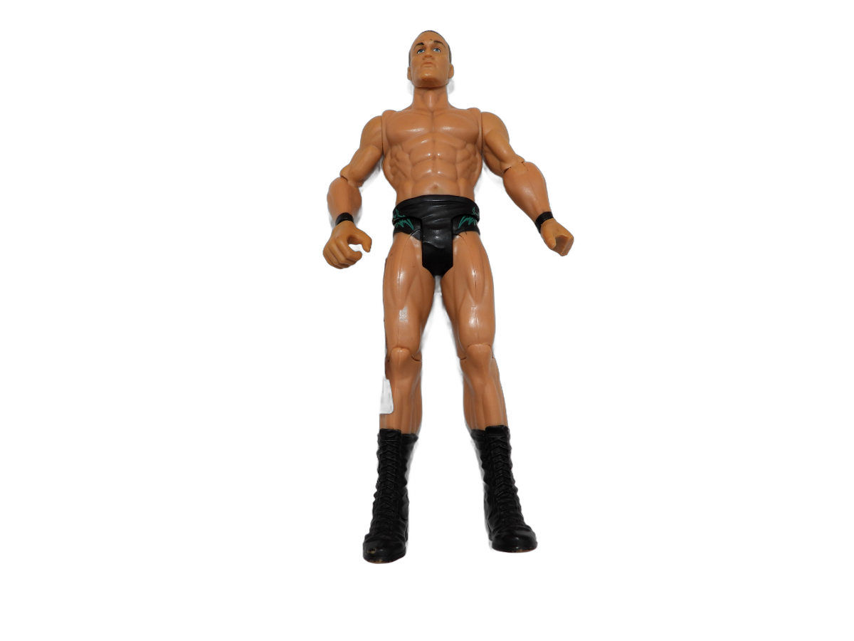 Wwe Randy Orton Mighty Minis Wrestling Action Talking Figure DAMGED HAND